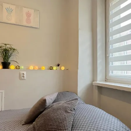 Pineapple Séjour chez l'habitant Gdańsk